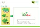 HANSSAM 한쌈,한쌈마케팅전략,한쌈멕시코진출전략,멕시코진출사례,요식업해외진출전략.PPT자료 3페이지