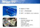 한-EU FTA 기대효과와 추진전략,한-EU필요성,한-EU기대효과,한-EU추진전략 5페이지