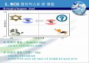 해밀,기업분석,경영전략,마케팅,브랜드,브랜드마케팅,기업,서비스마케팅,글로벌,경영,시장,사례,swot,stp,4p 46페이지