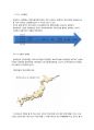 현대자동차 일본시장 진출실패 사례분석,현대자동차해외진출,현대자동차일본진출,해외진출실패사례,현대자동차마케팅,현대자동차해외마케팅,현대자동차마케팅문제점 10페이지