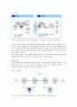 AIRCIS(항공물류정보시스템),AIRCIS실패와원인,AIRCIS개선과한계점,AIRCIS사례의시사점,항공물류정보시스템사례,한공물류정보시스템실패와원인 9페이지