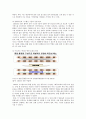 AIRCIS(항공물류정보시스템),AIRCIS실패와원인,AIRCIS개선과한계점,AIRCIS사례의시사점,항공물류정보시스템사례,한공물류정보시스템실패와원인 13페이지