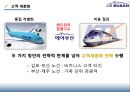 AIR_BUSAN,에어부산,저가항공사마케팅,마케팅,브랜드,브랜드마케팅,기업,서비스마케팅,글로벌,경영,시장,사례,swot,stp,4p 16페이지