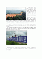 환경오염,4대강정비사업,환경오염사례,혁신도시난개발문제,시화호문제,환경문제,환경문제대책 11페이지