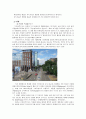 환경오염,4대강정비사업,환경오염사례,혁신도시난개발문제,시화호문제,환경문제,환경문제대책 15페이지