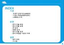 화장품시장분석,아모레퍼시픽-라네즈,중국 화장품 시장의 미래,브랜드마케팅,서비스마케팅,글로벌경영,사례분석,swot,stp,4p 2페이지