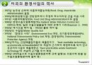환경과건강,미국의환경사업,일본의한경사업,한국의환경사업,환경사업 13페이지