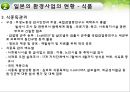 환경과건강,미국의환경사업,일본의한경사업,한국의환경사업,환경사업 32페이지