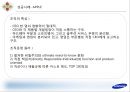 효율성지향기업,효율성조직,삼성전자의 효율성지향,효율성지향기업사례,삼성전자와효율성 45페이지