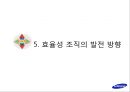 효율성지향기업,효율성조직,삼성전자의 효율성지향,효율성지향기업사례,삼성전자와효율성 46페이지