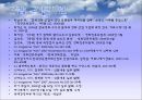 CJ엔터테인먼트 글로벌마케팅전략,CJ엔터테인먼트마케팅전략,CJ엔터테인먼트시장환경분석 23페이지
