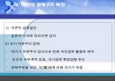 대만의 경제발전 4페이지