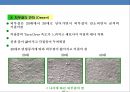 화장품 브랜드 런칭(launching) 전략 기획서(strategy plan) 29페이지