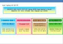 화장품 브랜드 런칭(launching) 전략 기획서(strategy plan) 30페이지