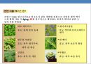 화장품 브랜드 런칭(launching) 전략 기획서(strategy plan) 33페이지