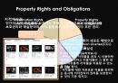 Five Moral Dimensions of UCC,UCC분석,UCC역할,UCC장단점 11페이지