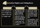 Five Moral Dimensions of UCC,UCC분석,UCC역할,UCC장단점 14페이지