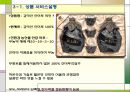 DRTV KOREA,DRTV,디알티브이코리아,디알티브이,디알티브이분석 10페이지