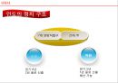 Enron,Enron인도시장진출,DPC,다국적기업론,엔론인도시장진출 4페이지