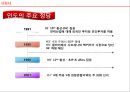 Enron,Enron인도시장진출,DPC,다국적기업론,엔론인도시장진출 6페이지