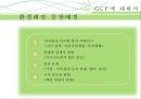 GCF,에코,녹색기후기금, 3페이지