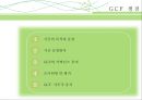 GCF,에코,녹색기후기금, 13페이지