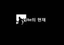 Hite진로기업분석,Hite기업분석,Hite마케팅전략,진로기업분석,맥주시장분석 8페이지