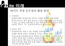 Hite진로기업분석,Hite기업분석,Hite마케팅전략,진로기업분석,맥주시장분석 17페이지