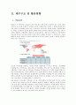 HSBC은행분석,HSBC은행재무구조및활동현황,HSBC은행M&A현황,M&A,은행M&A 10페이지