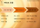 HALAL,HALAL마케팅전략,HALAL분석,할랄분석,할랄마케팅전략,여성화장품마케팅전략 4페이지
