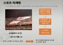 LG전자브라질진출전략,LG전자해외진출전략,LG전자마케티언략과성과,브라질마케팅전략 21페이지