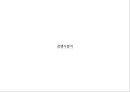 LG_OPTIMUS,엘지옵티머스,브랜드전략,마케팅,브랜드,브랜드마케팅,기업,서비스마케팅,글로벌,경영,시장,사례,swot,stp,4p 15페이지