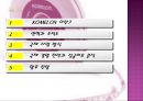 KOMELON,KOMELON기업분석,KOMELON국제경영전략,코메론국제경영전략,코메론기업분석 2페이지