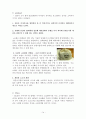 MCM,MCM기업분석,MCM마케팅,마케팅분석,기업분석,엠씨엠 14페이지