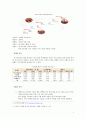 PR Analysis Report -Mr.Pizza의 국내 피자업계 1위 브랜드 굳히기 (Mr.Pizza의 국내 피자업계,미스터피자마케팅,감성마케팅사례,브랜드마케팅,서비스마케팅,글로벌경영,사례분석,swot,stp,4p) 4페이지