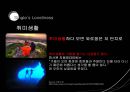 Single족,화려한싱글,싱글마케팅,싱글마켓,싱글소비 21페이지
