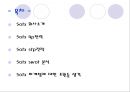 Sotx 마케팅 믹스,Sotx,Sotx마케팅,Sotx마케팅분석,Sotx기업분석,Sotx분석,Sotx 4p전략,Sotx swot분석 2페이지