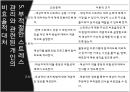 Substance abus Georgia(조지아)영화 감상문.PPT자료 24페이지