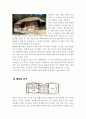 [한국건축사] 지역별 민가의 평면형태 5페이지