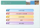 [지역건설공학] 수로의 종류 2페이지
