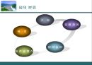 수문학 - 댐의 종류에 관한 조사 5페이지