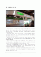 [서울반도체경영전략]서울반도체 해외시장 진출전략 보고서 5페이지