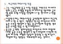 [서울반도체경영전략]서울반도체 해외시장 진출전략 PPT자료 17페이지