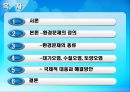 환경 (지구적 문제와 인류공동의 대응, 환경문제의 정의) 2페이지