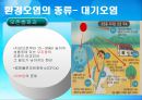 환경 (지구적 문제와 인류공동의 대응, 환경문제의 정의) 8페이지