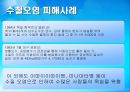 환경 (지구적 문제와 인류공동의 대응, 환경문제의 정의) 13페이지