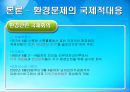 환경 (지구적 문제와 인류공동의 대응, 환경문제의 정의) 19페이지