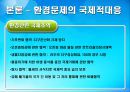 환경 (지구적 문제와 인류공동의 대응, 환경문제의 정의) 20페이지