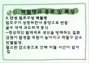 백혈병  8페이지