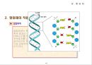 화학과 생활(의약품)  16페이지